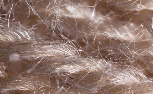 Acrylic Fiber Industry and Current Slowdown